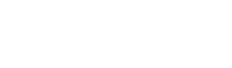 50 % Förderung durch GoDigital